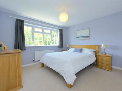 Picture 13